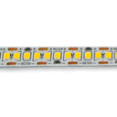 Strip light 240LED/m DC12V (Olympia)