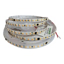 BLANCO LED Strip Light 2835 – 120D – 220V – 8MM, 10W/M, IP44 – 10M Roll