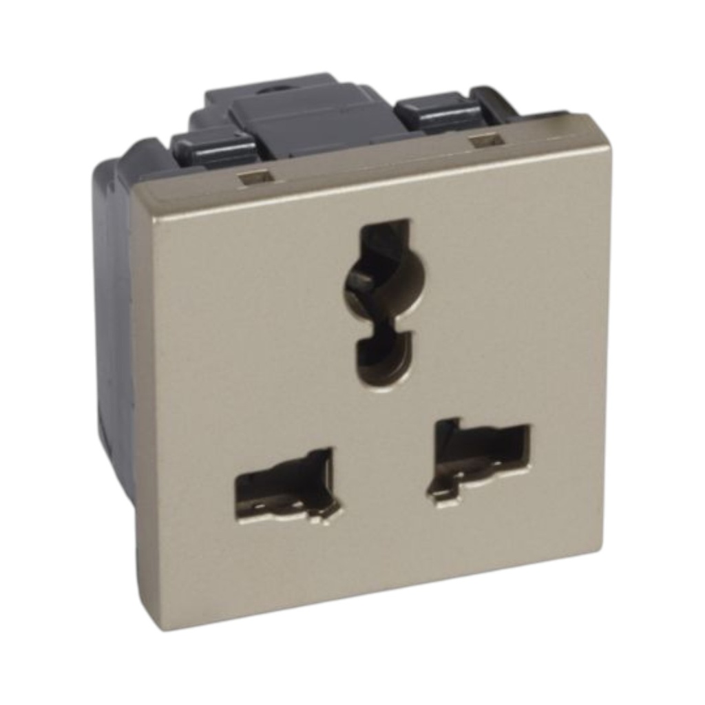 Arteor™ - Multistandard socket - 2P+E unswitched - shuttered - 2 modules