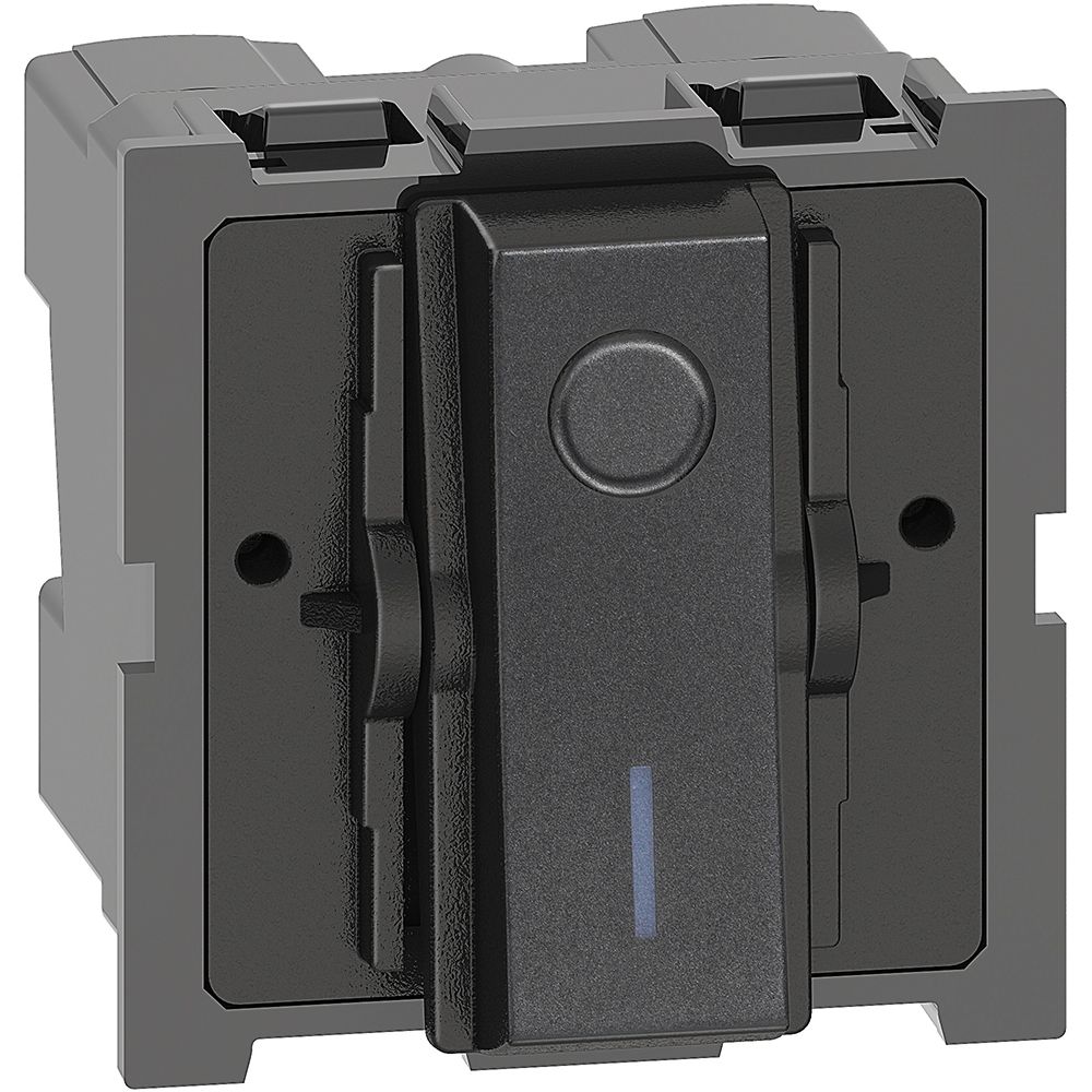 Living Now™ – 2-pole switch – 32 A – 250 V ~ – 2 modules