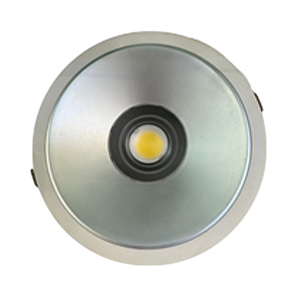 Down light COB 40W