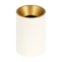 Downlight Cylinder - Aluminum with Plastic Reflector - Empty 