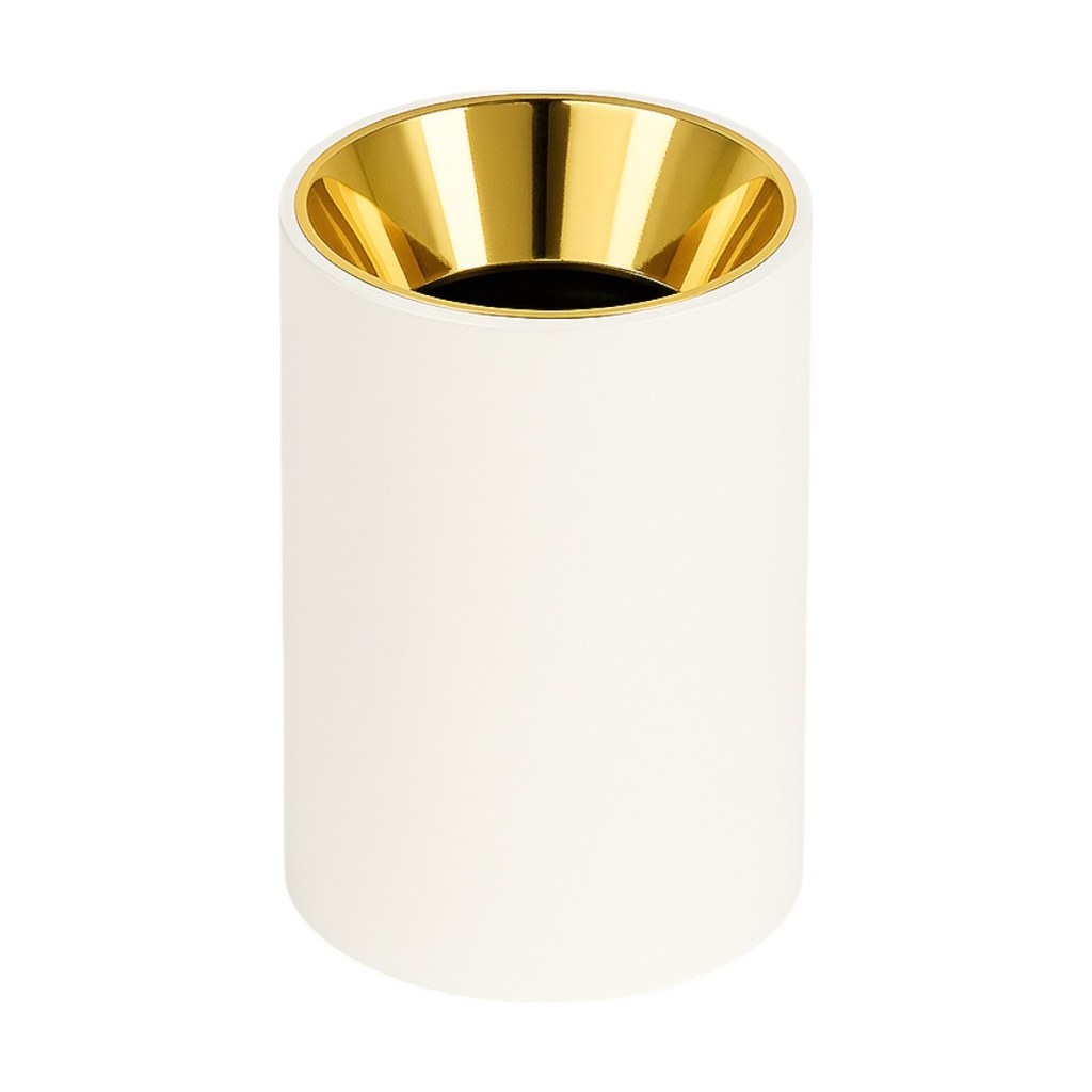 Downlight Cylinder - Aluminum with Plastic Reflector - Empty 