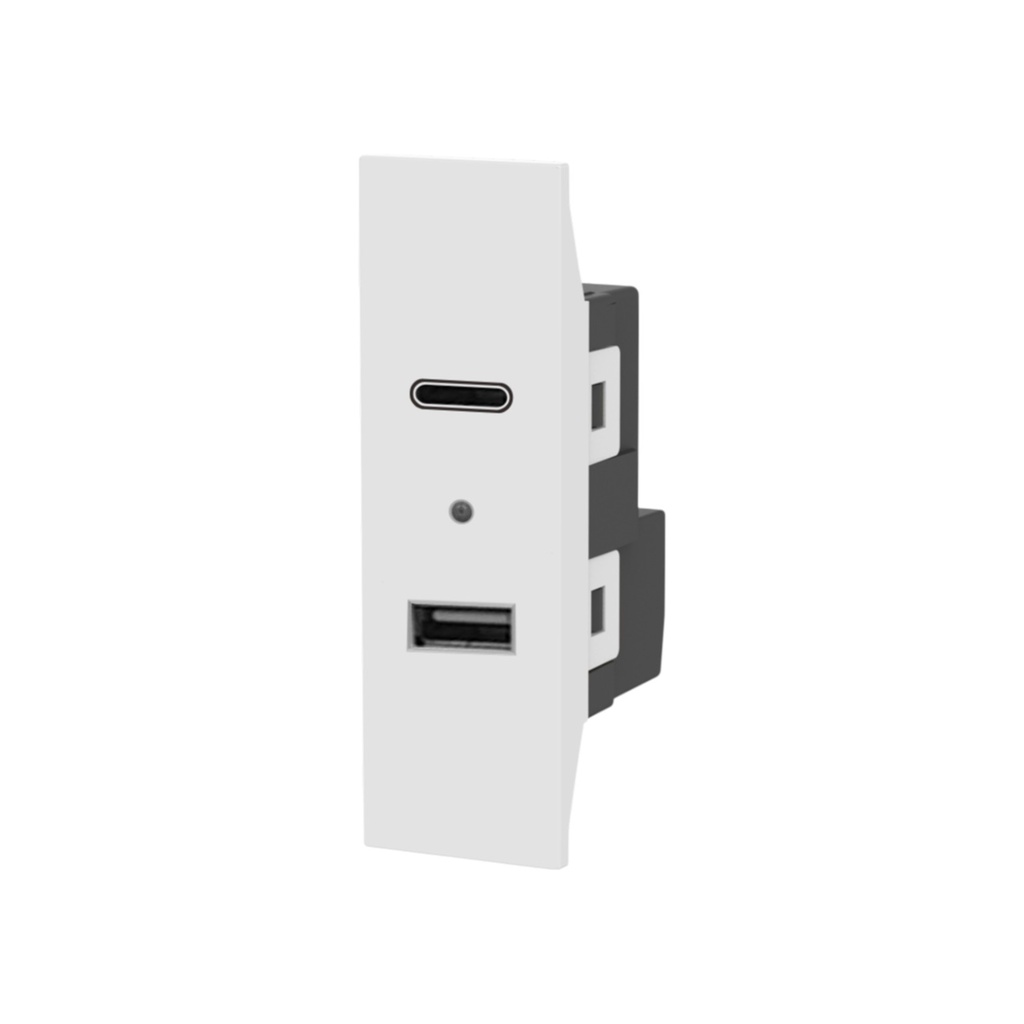 USB + Type‑C Socket - 1 Module - KION