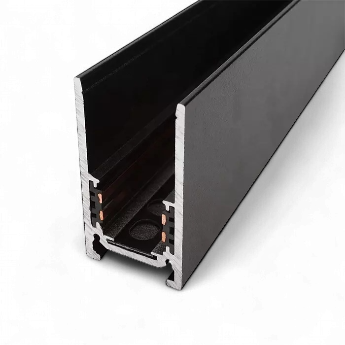 Magnetic track rail