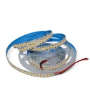 Strip light 240LED/m DC12V