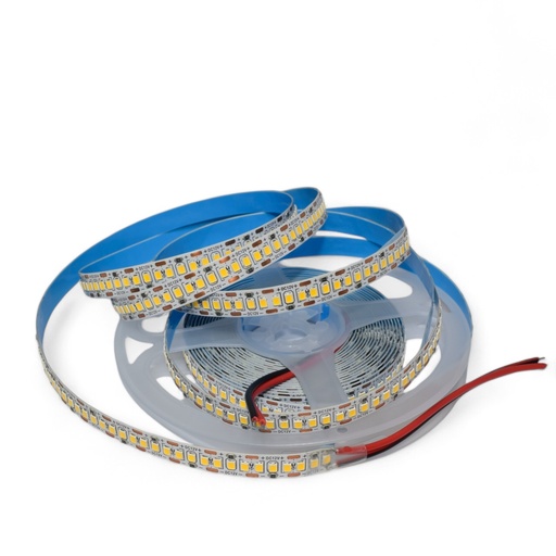 Olympia Strip light 240LED/m DC12V 4 Years Warranty