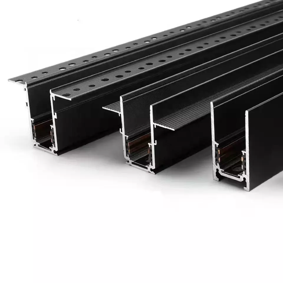 Magnetic track rail