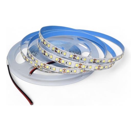 Strip light 120LED/m DC12V