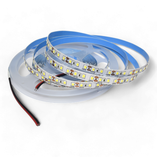 Strip light 120LED/m DC12V